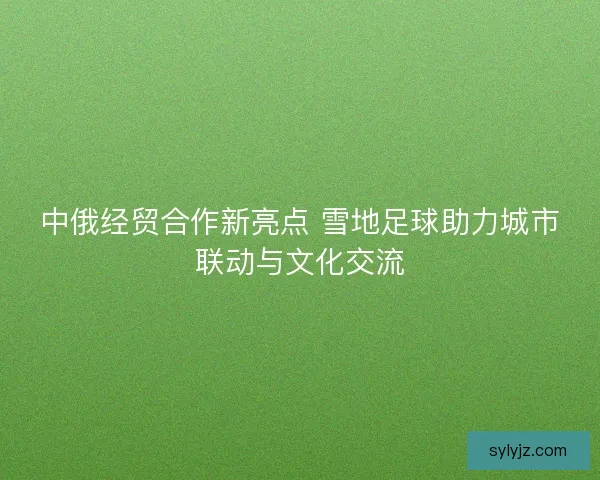 中俄经贸合作新亮点 雪地足球助力城市联动与文化交流